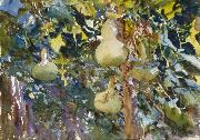 Gourds John Singer Sargent